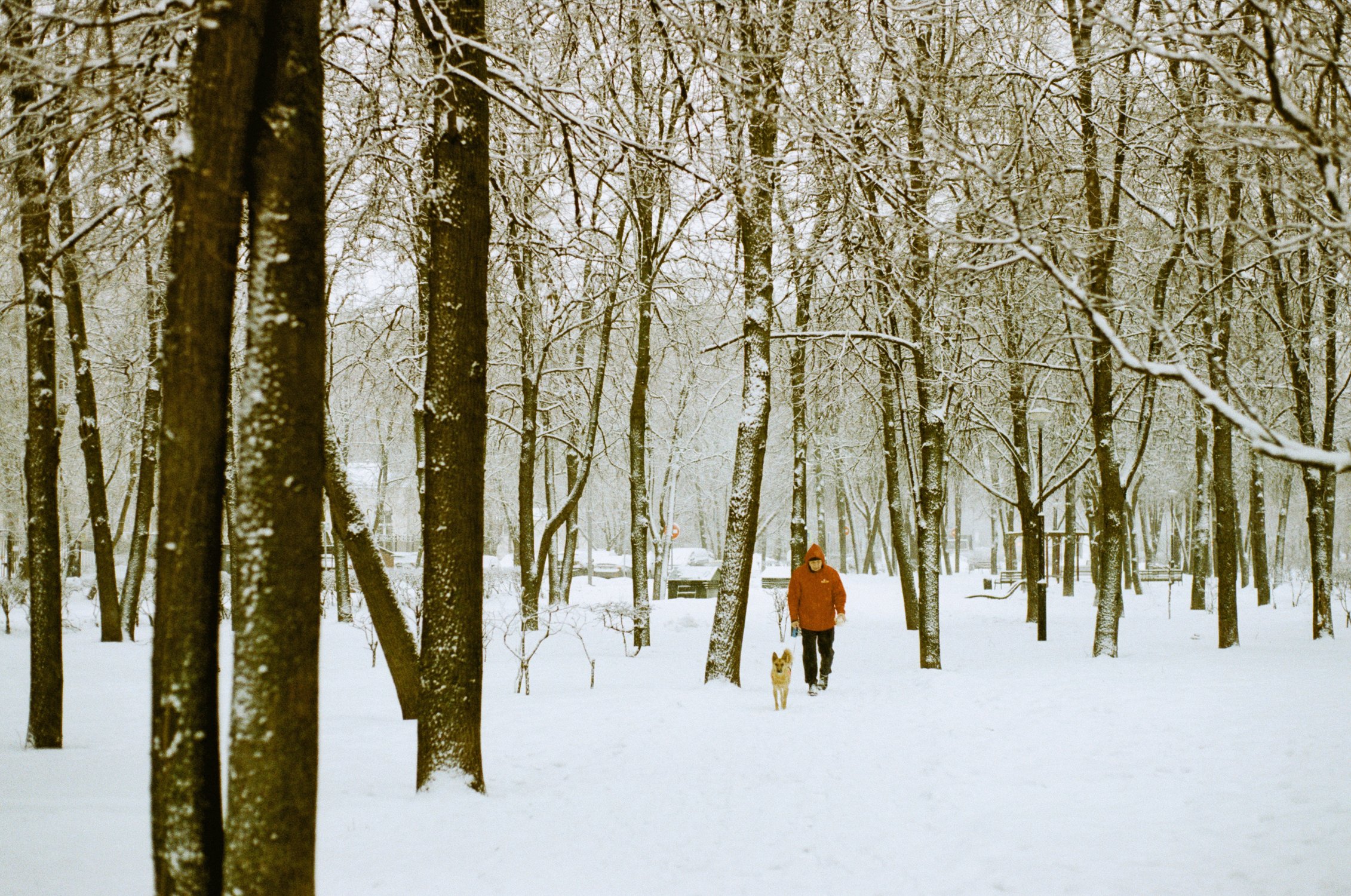 Из истории "Охотники на снегу". Измайлово, Москва