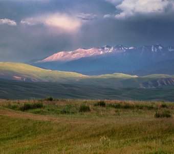 Комплимент июля