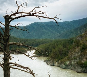 Алтай, река Катунь