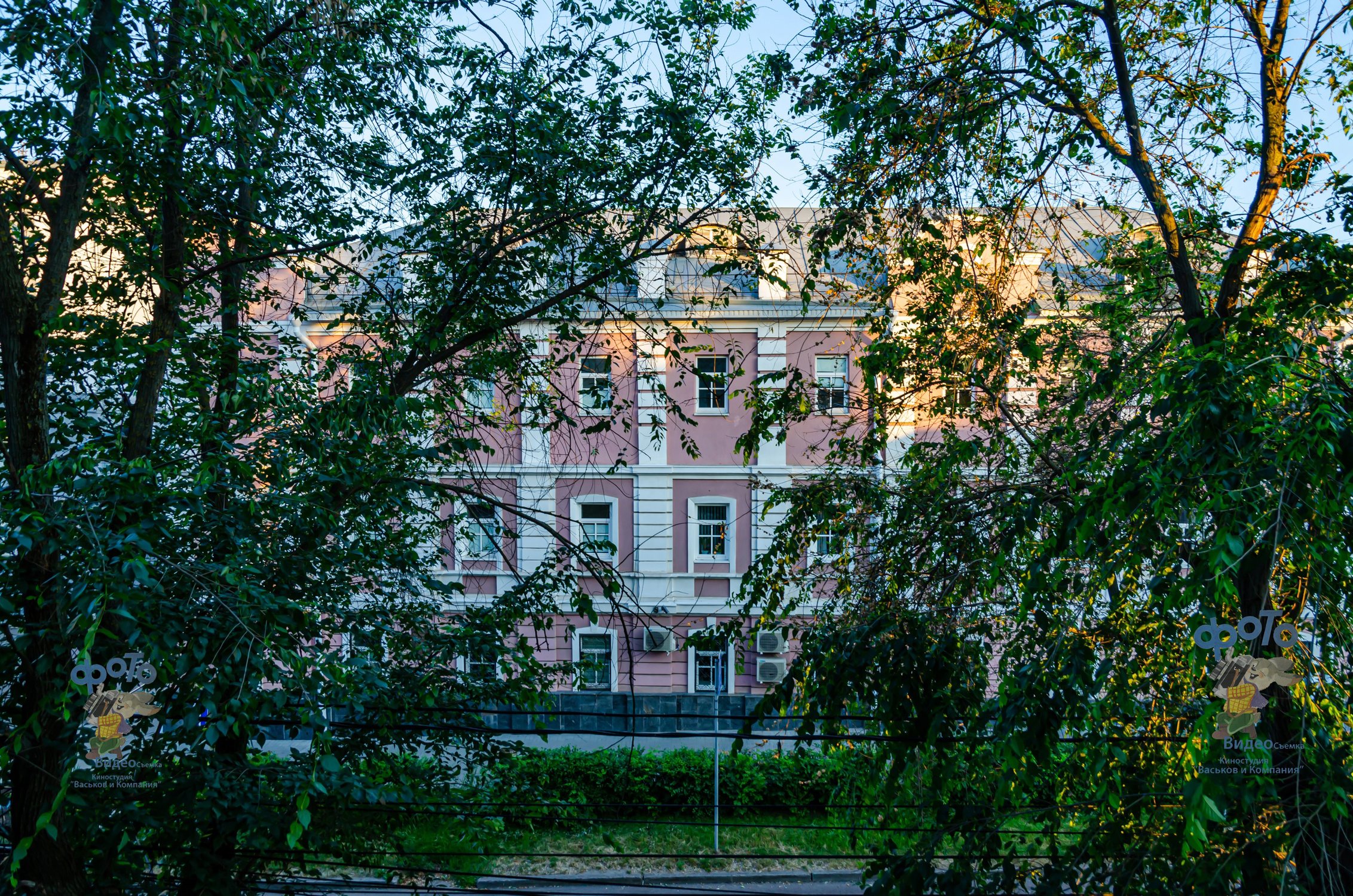 Отдел № 29 Управления Федерального казначейства по Курской области. город Курск