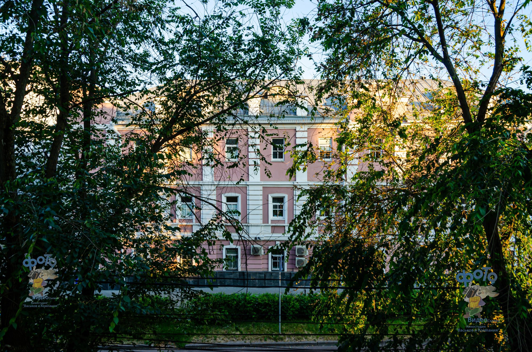 Отдел № 29 Управления Федерального казначейства по Курской области. город Курск