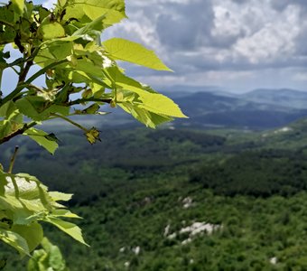 (извините, его нет)