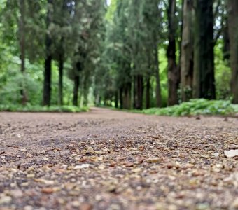 Дорога неизвестности...