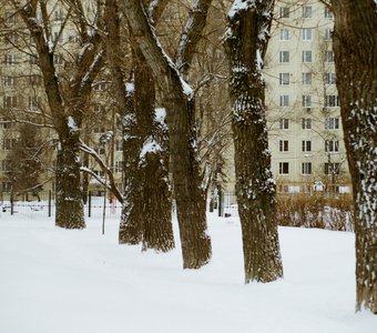 Из истории "Охотники на снегу". Сиреневый сад, Москва