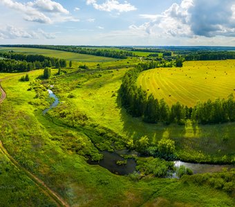 Июльская картина