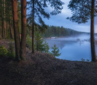 В весенних сумерках