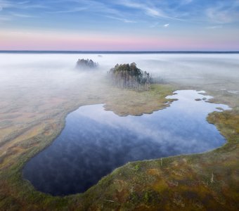 Затерянный мир Кадамских болот