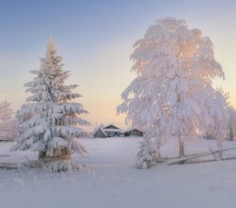 Красота зимнего утра