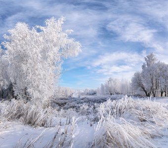 Зимний день