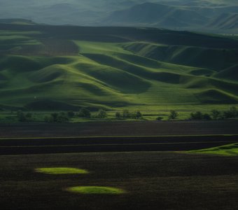 Бархат полей