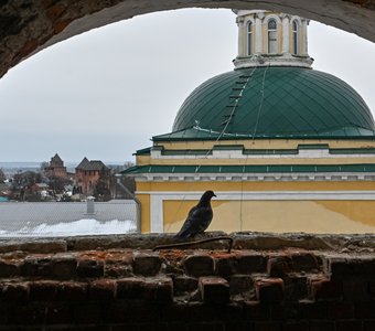 С высоты птичьего полета