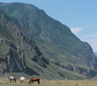 Долина реки Чулышман