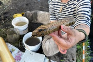 Археологи Эрмитажа нашли древний дротик в виде змеи