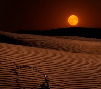 Рассвет в ночной пустыне