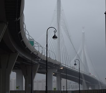 Другая сторона Санкт-Петербурга