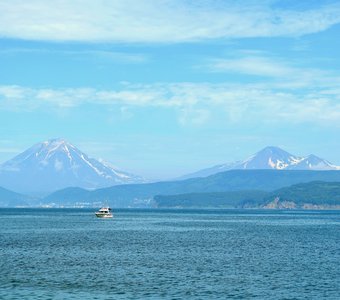 Авачинская бухта и три вулкана