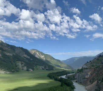 Летние глотки солнца