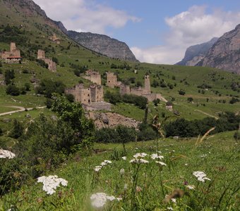 Они видели многое....