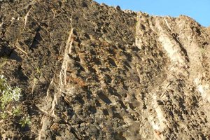 На Аляске нашли скалу – на ней невероятно много следов динозавров