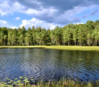 Бучкино болото