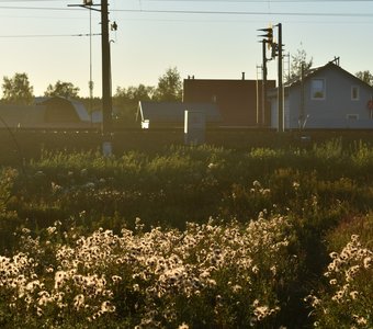 Дыхание солнца