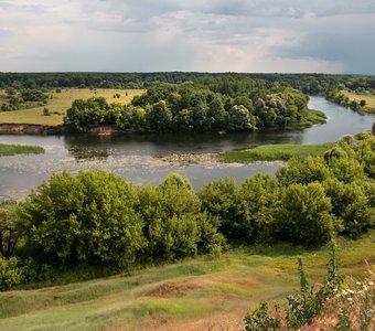 Изгиб реки Сейм