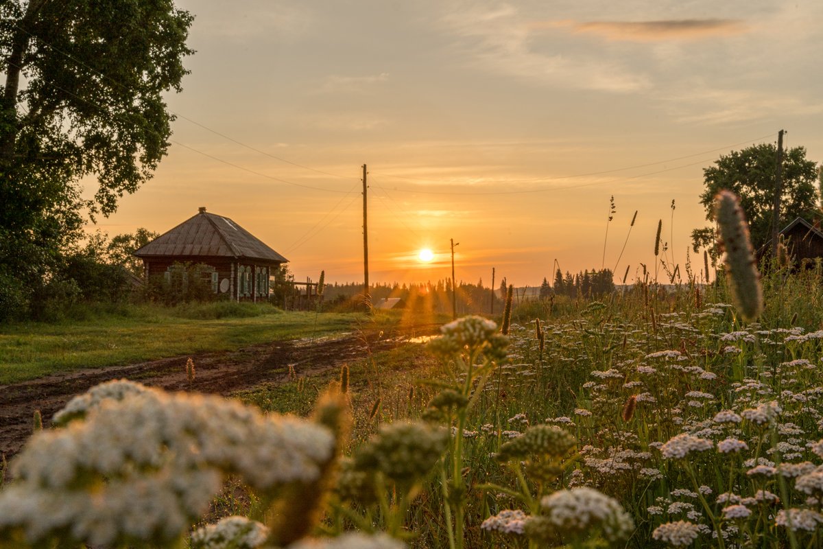 Первый Луч. С первыми лучами солнца и гуси.