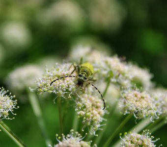 Греюсь на солнышке