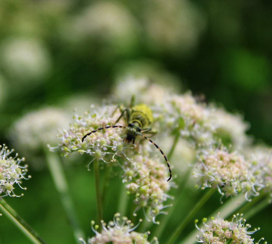 Греюсь на солнышке — Фото №1442409