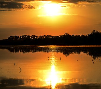 Знойный вечер на реке