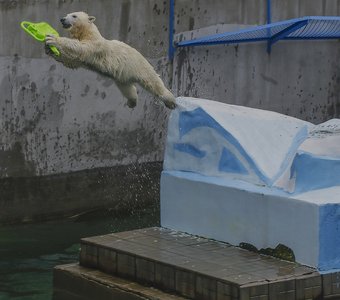 Новосибирский зоопарк имени Р.А. Шило