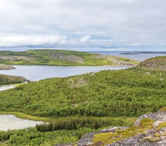 В Белом море