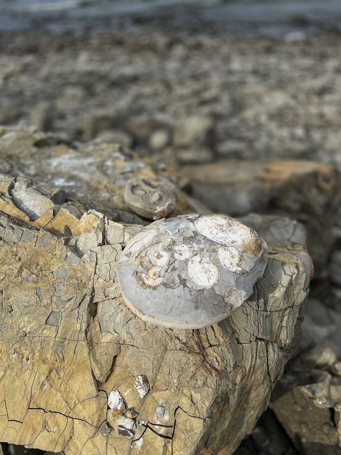 Поволжские камни