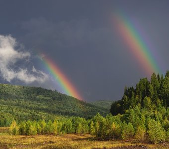 Двойное чудо