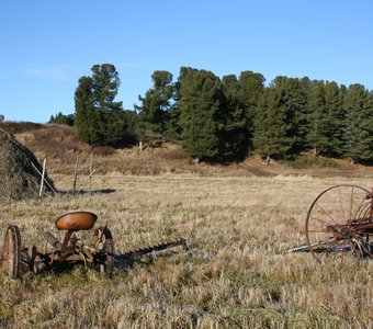Сенокос в деревне