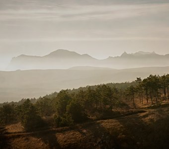 Зимний полдень, Крым