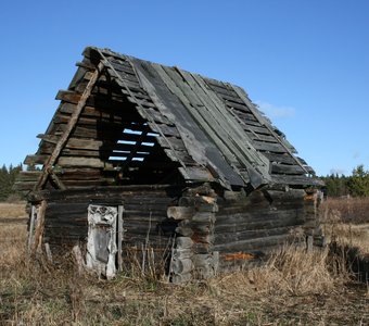 Изба в тайге