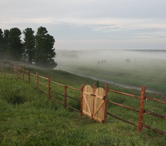 Туман в тайге