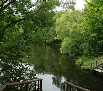 Пруд в усадьбе Знаменка в Петергофе