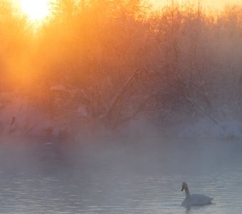 закат на лебедином озере