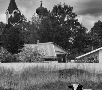 Вдали от суеты