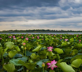 Рай Ахтанизовского лимана