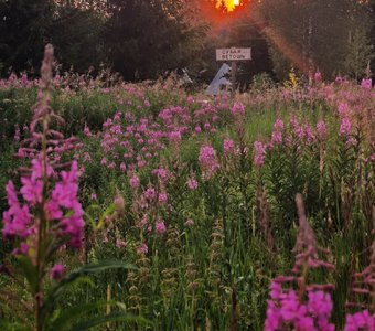 Моя деревня