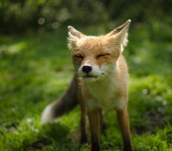 Уральское утро