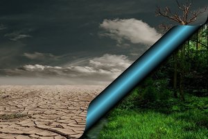 Ученые предупреждают – от изменения климата может погибнуть 1 миллиард человек