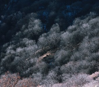 Зимние сны о Дагестане