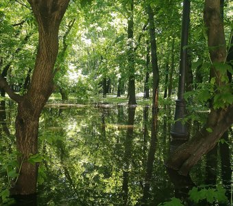 Москва после дождя. Петровский парк