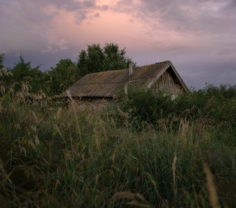 Перед грозой