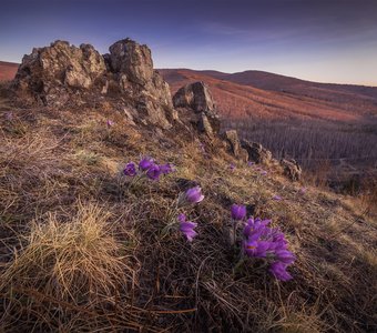 Весна в Забайкалье