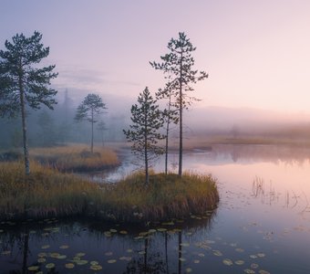 Как в старой сказке